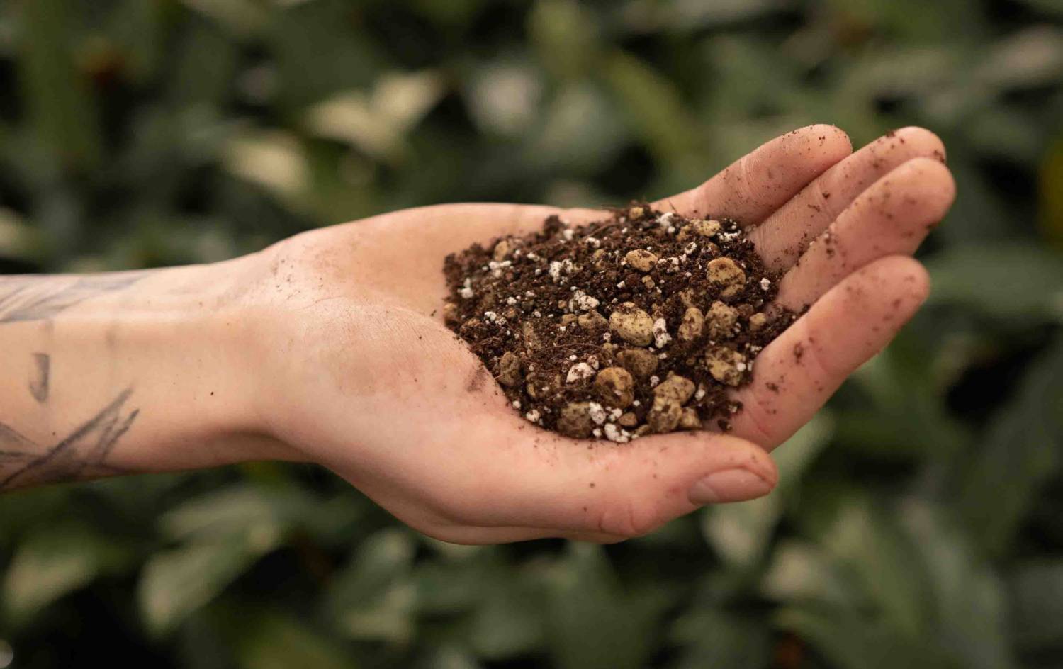 Bonsai Soil Mix 515L SYBASoil 6 Months of nutrients Peatfree